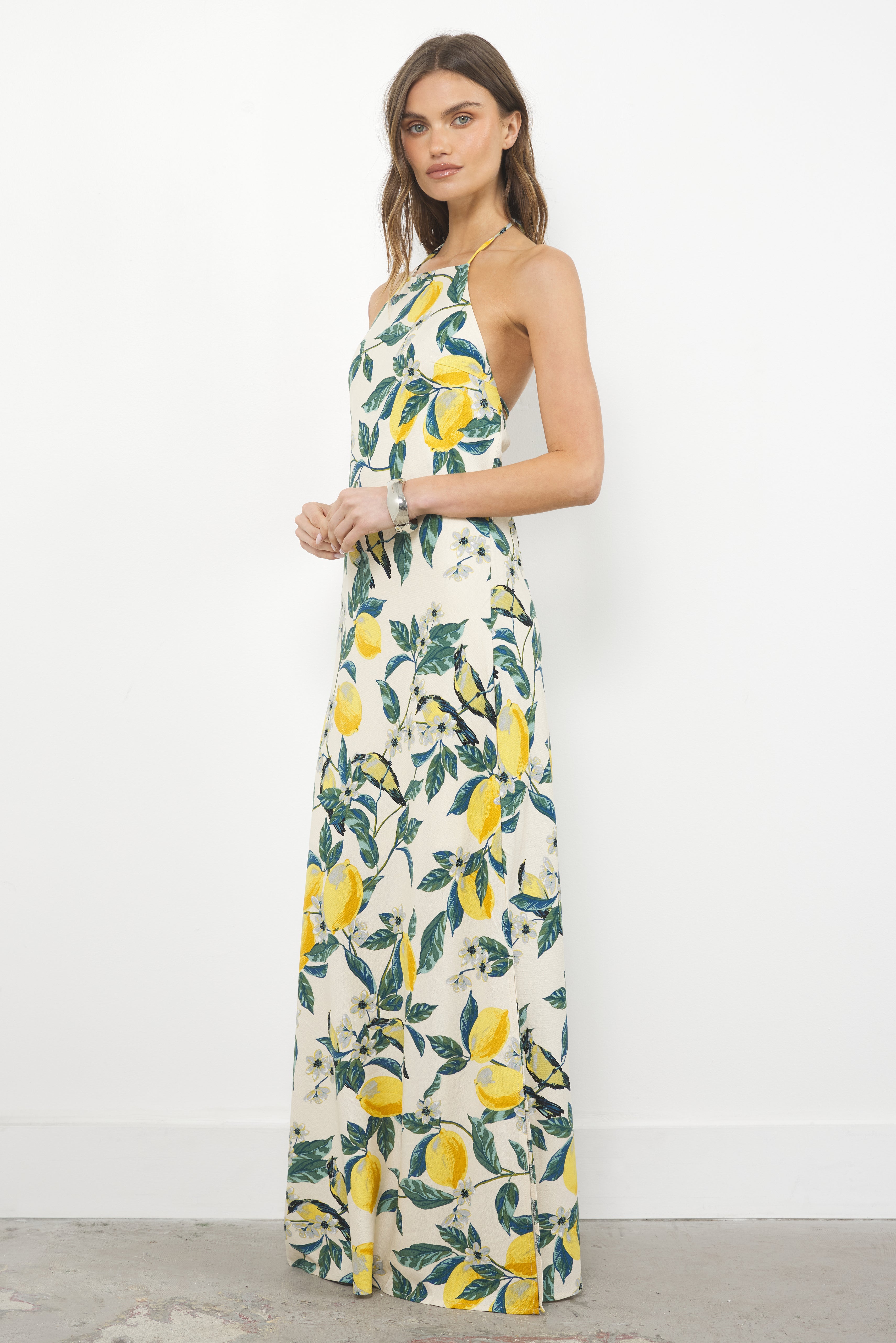 Extra Sweet Lemon Garden Dress