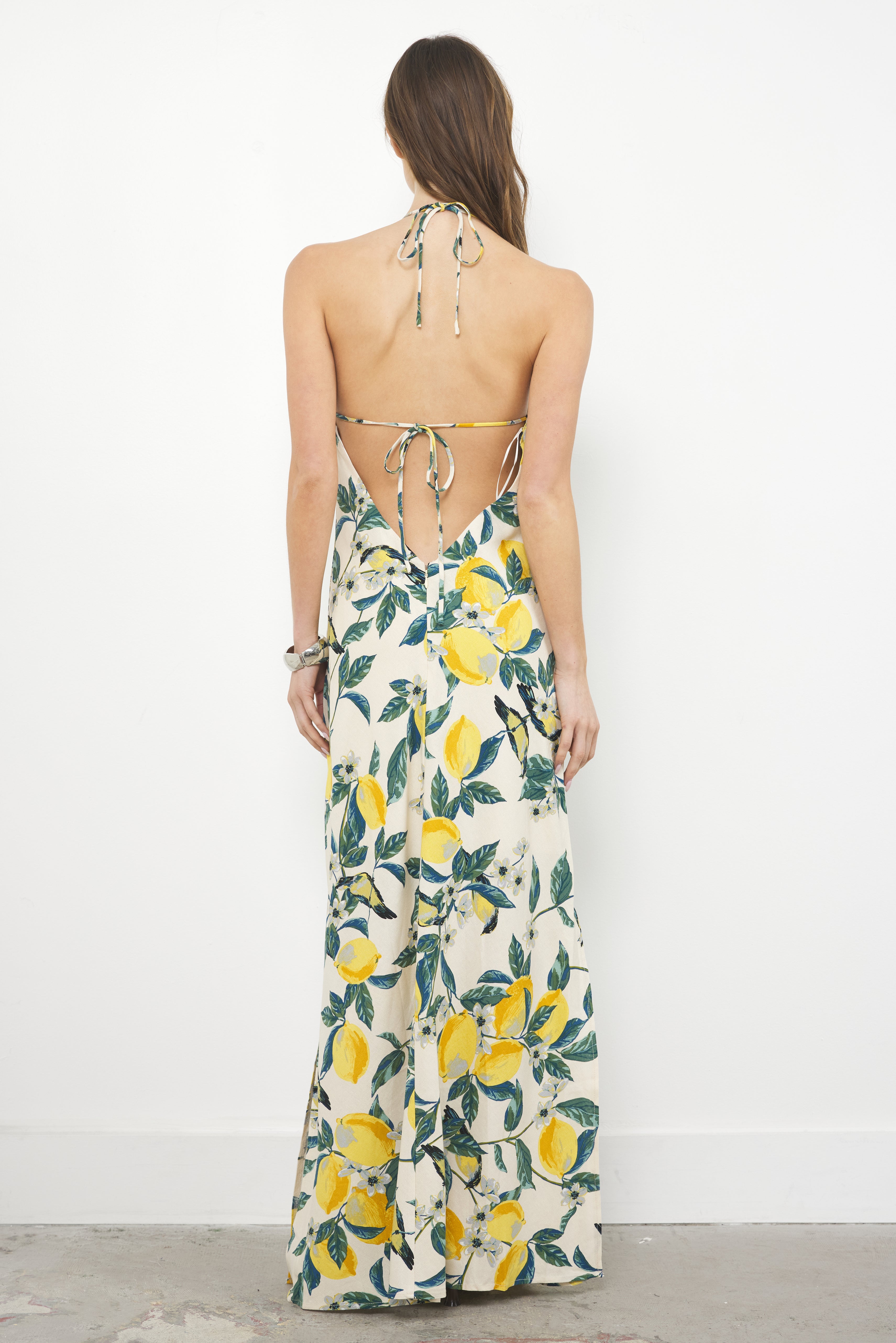 Extra Sweet Lemon Garden Dress