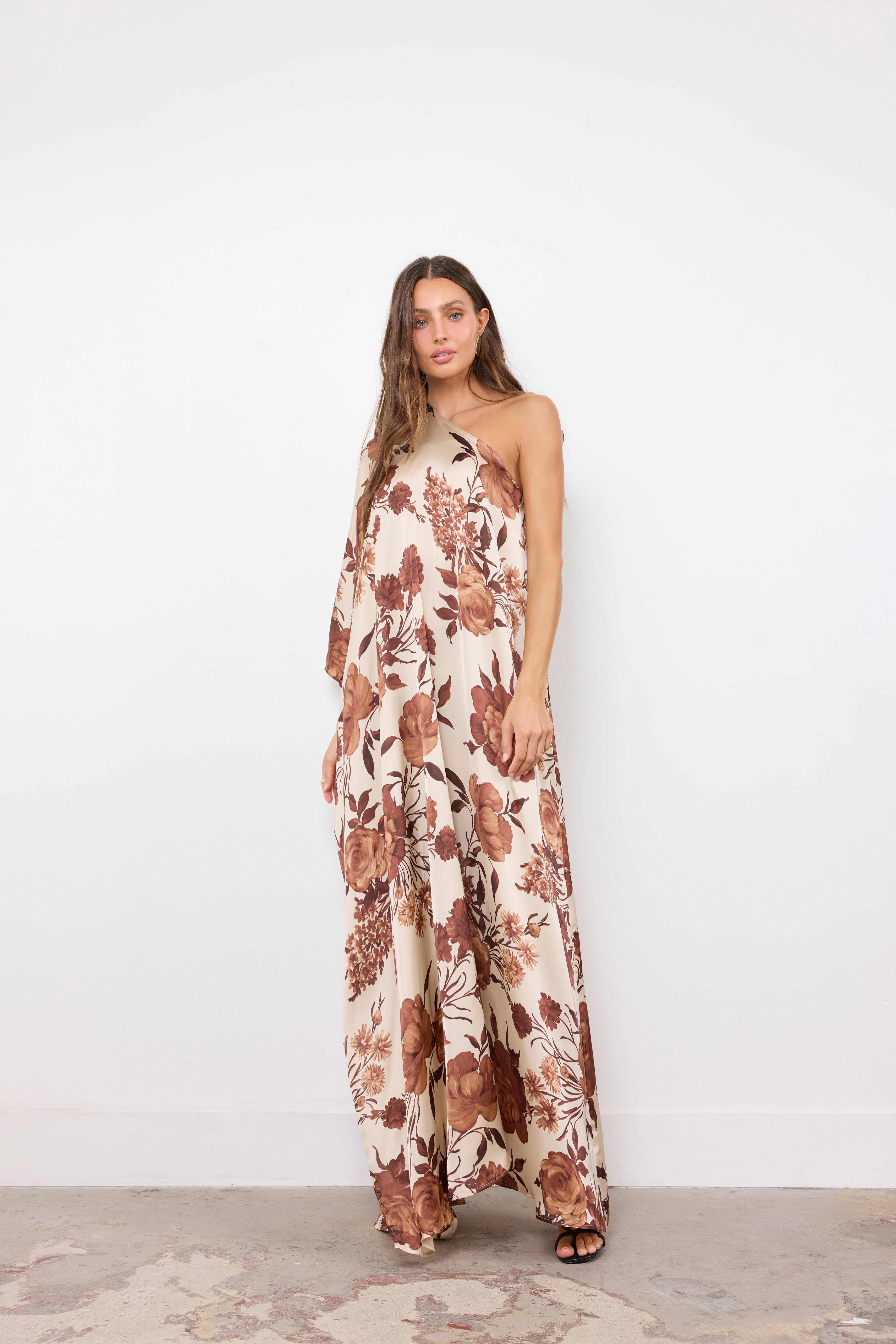 Good Standing Coffee Cream Brown Dress