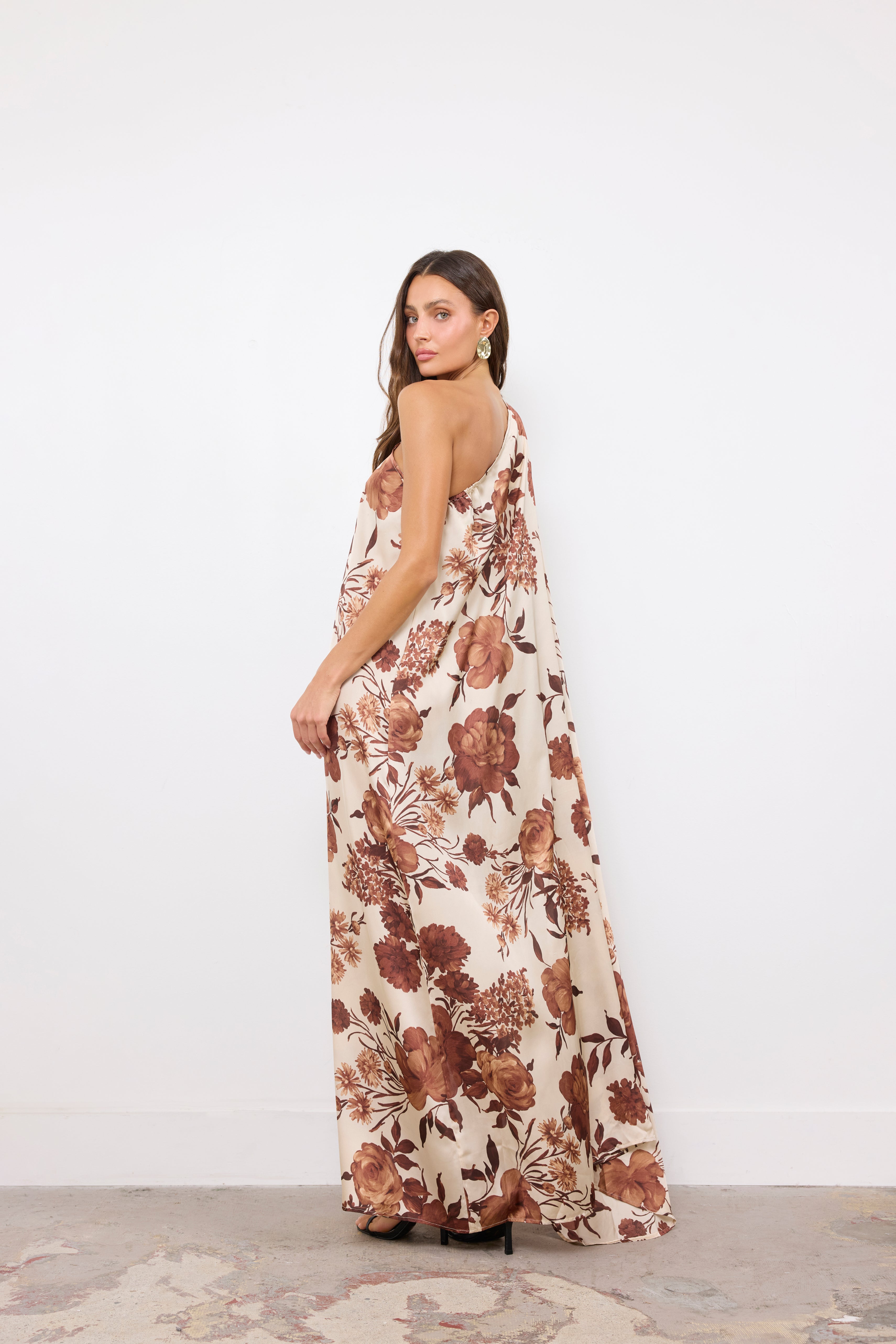 Good Standing Coffee Cream Brown Dress
