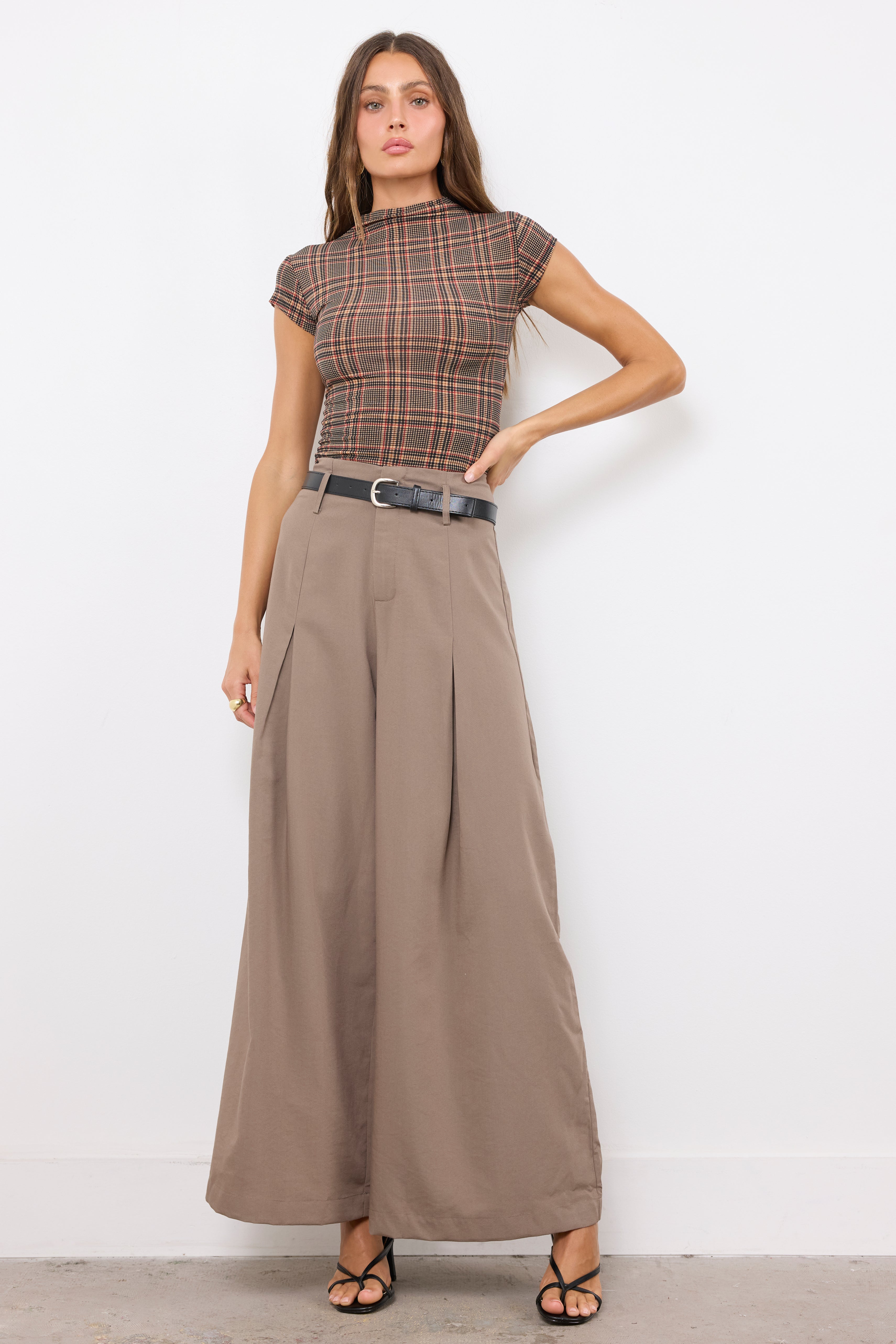 Jealous Type Dark Taupe Pants