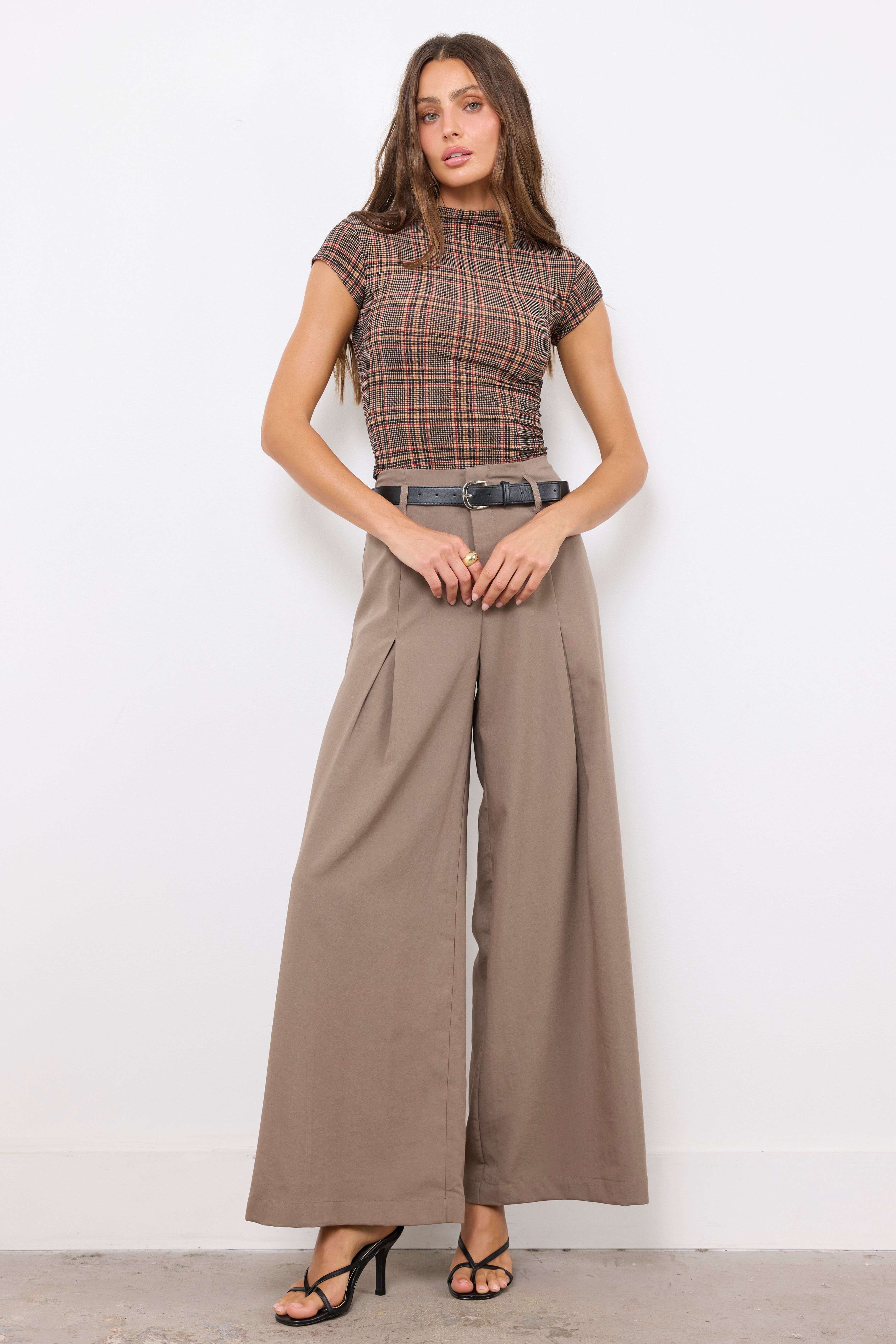 Jealous Type Dark Taupe Pants