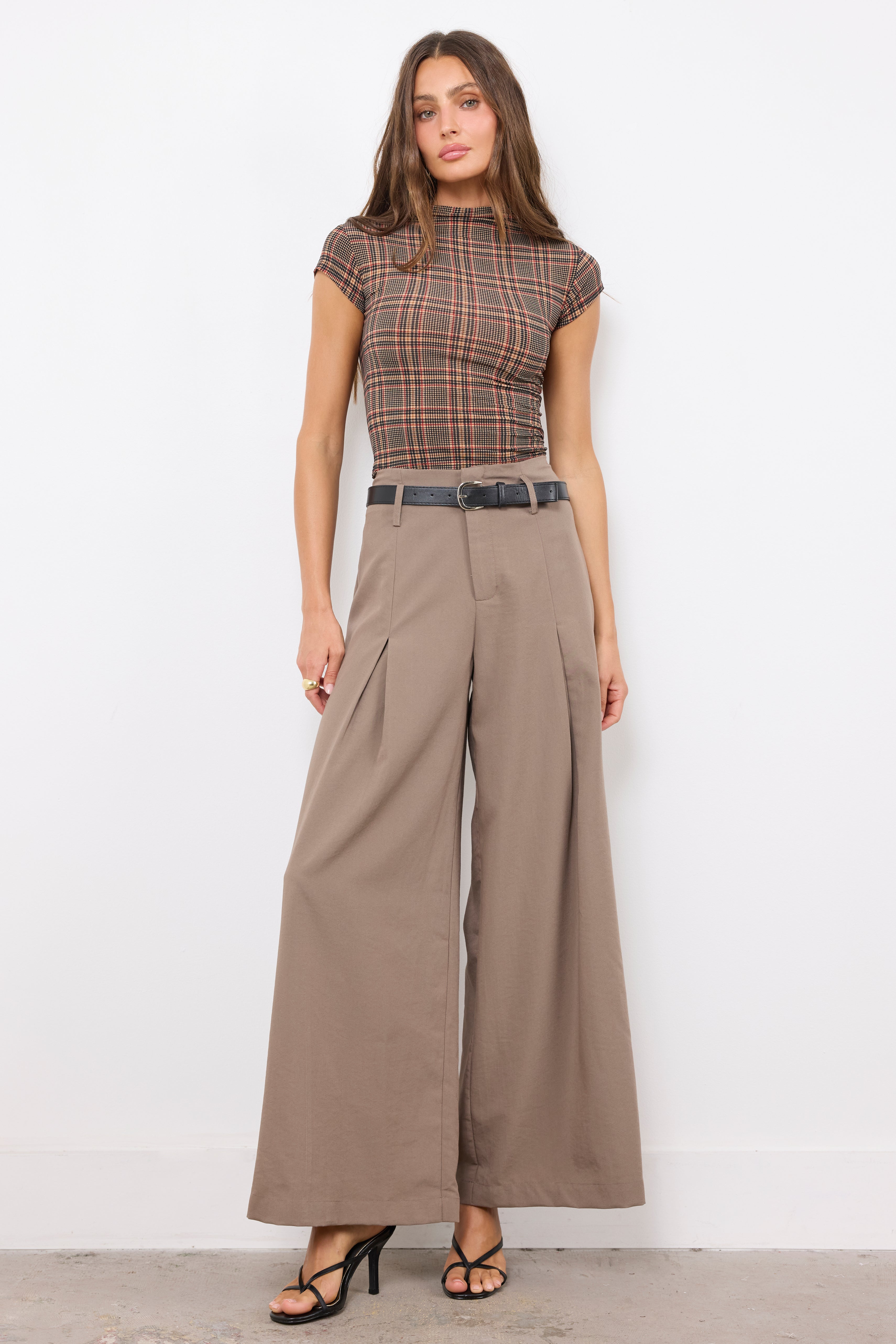 Jealous Type Dark Taupe Pants