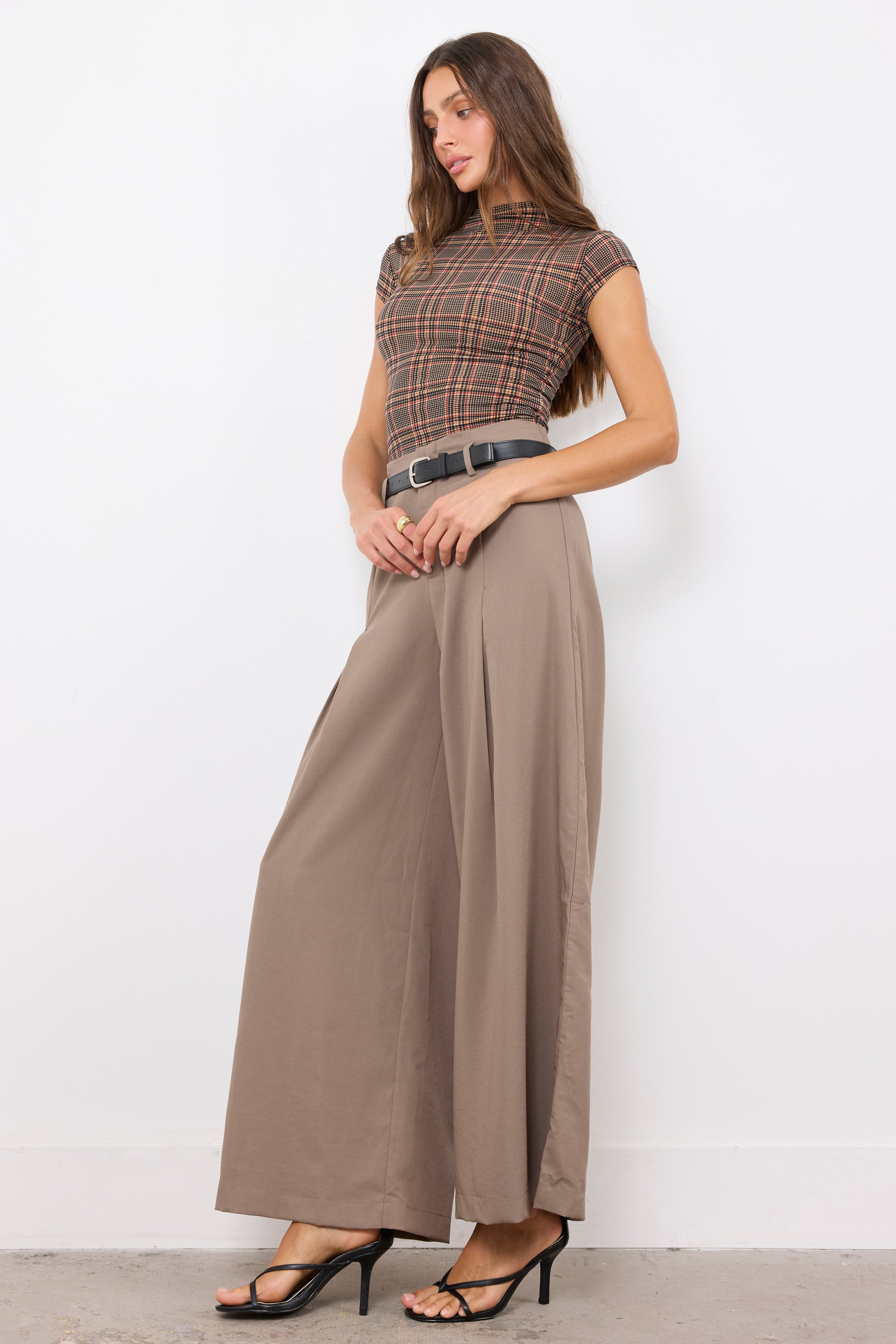Jealous Type Dark Taupe Pants